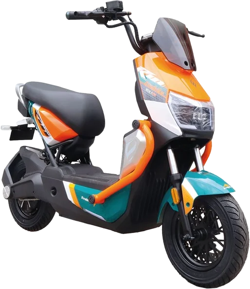 Bicicleta eléctrica Águila Pro