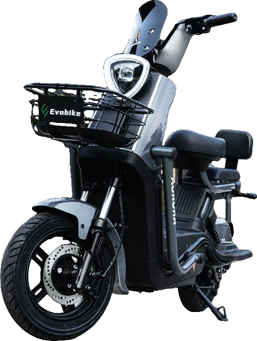 Bicicleta eléctrica Aurora