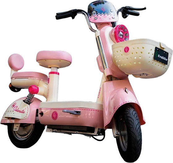 Bicicleta eléctrica Colorita